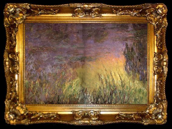 framed  Claude Monet Water Lilies at Sunset, ta009-2